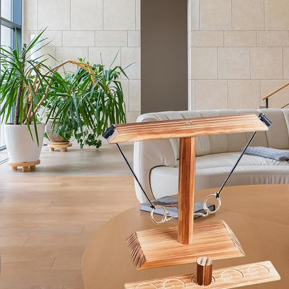 Ring Toss Game, Ring Throwing Game with Shot Put, Hook and Ring Throwing Game for Adults Kids, Fun Hook and Ring Game with Ladder