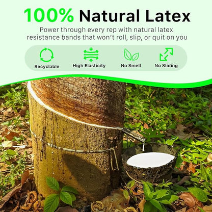 Resistance Bands for Working Out, Exercice Bands Set with 5 Different Levels for Physical Therapy, Elastic Bands with Instruction Guide and Carry Bag for Indoor & Outdoor Fitness