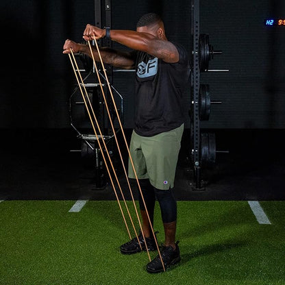 Serious Steel Fitness 32" Resistance Training Bands (Portable Exercise Band System Training Bands- Great for Individuals Under 5'10")