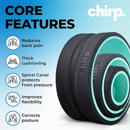 Chirp Wheel Foam Roller 3-Pack with Base ??Back Pain Relief & Massage Roller Bundle, High Density Foam Rollers for Physical Therapy, Exercise & Relaxation ??Mint ??Compatible Base Included