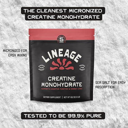 Micronized Creatine Monohydrate with Sea Salt - Micronized Creatine Powder for Training & Performance – No Artificial Ingredients – 90 Servings