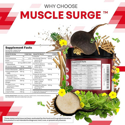 Clean Nutra Creatine Powder for Men + HMB BCAA L Arginine L Citrulline Tongkat Ali Saw Palmetto Ashwagandha Collagen Flax Seed Turmeric Preworkout Stevia Nitric Oxide L Glutamine Amino Acids