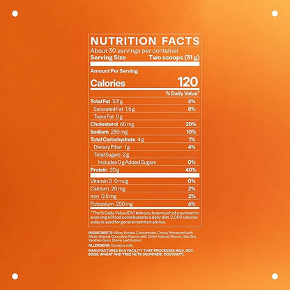 LTH Whey Protein - Trusted by Life Time Members - Grass-Fed Whey Protein Powder - with Amino Acids - Aids Lean Muscle & Recovery - Supports Immune & Liver Health - Chocolate (30 Servings)