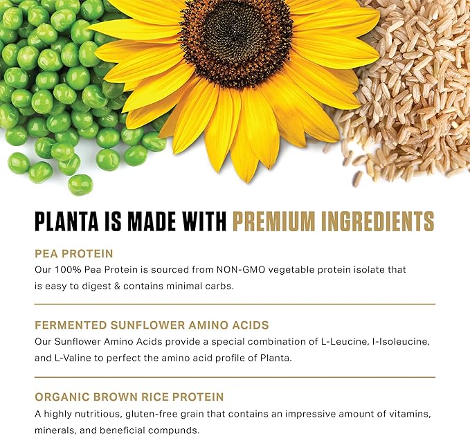 Ambrosia Planta - Premium Plant-Based Protein | Vegan & Keto Friendly | Gourmet Flavors with No Bloating or Stomach Upset | Gluten & Soy Free | No Added Sugar | 25 Servings | Melted Chocolate