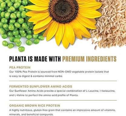 Ambrosia Planta - Premium Plant-Based Protein | Vegan & Keto Friendly | Gourmet Flavors with No Bloating or Stomach Upset | Gluten & Soy Free | No Added Sugar | 25 Servings | Cinnamon Roll