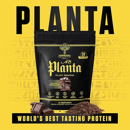 Ambrosia Planta - Premium Plant-Based Protein | Vegan & Keto Friendly | Gourmet Flavors with No Bloating or Stomach Upset | No Added Sugar | 14 Servings | (Melted Chocolate)