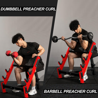 AOWINNOX Preacher Curl Bench, Seated Barbell and Dumbbell Workout Machine