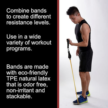 BodyForge Resistance Bands, Exercise Bands，Resistance Bands for Working Out, Work Out Bands with Handles for Men and Women Fitness, Strength Training Home Gym Equipment