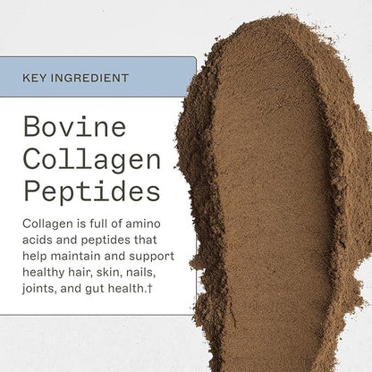 Amy Myers MD Paleo Protein Powder - Double Chocolate, 20 Servings - Collagen-Based Gut Function Support - Gluten-Free & Non-Dairy Protein Supplement