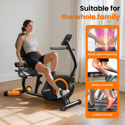 Recumbent Exercise Bike for Home, Recumbent Stationary Bikes for Seniors