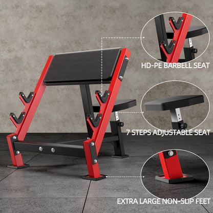AOWINNOX Preacher Curl Bench, Seated Barbell and Dumbbell Workout Machine