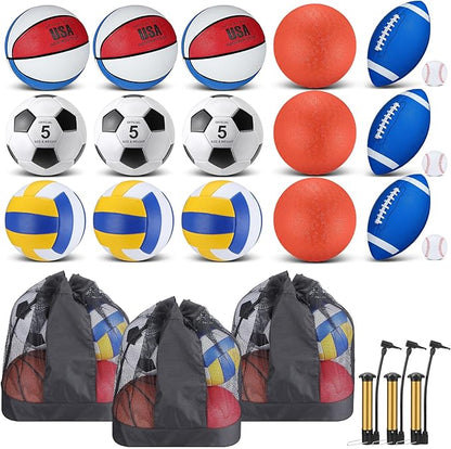 Leyndo 18 Pcs Sport Balls Bulk Set Basketball Football Volleyball Soccer Playground Baseball with Sport Equipment Bag Pump for Outdoor Indoor Practice Gift