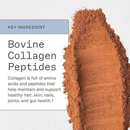 Amy Myers MD Paleo Protein Powder - Mocha Latte, 20 Servings - Collagen-Based Gut Function Support - Gluten-Free & Non-Dairy Protein Supplement