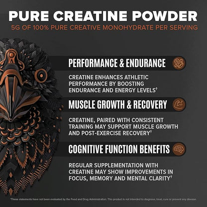 Falcon Performance Vegan Protein Powder, 31g Protein, 5g Creatine, 5g BCAA, Probiotics, Electrolytes, Pre Workout, Low Carb, Sugar Free & Dairy Free, Plant Based Chocolate Protein, 28 servings