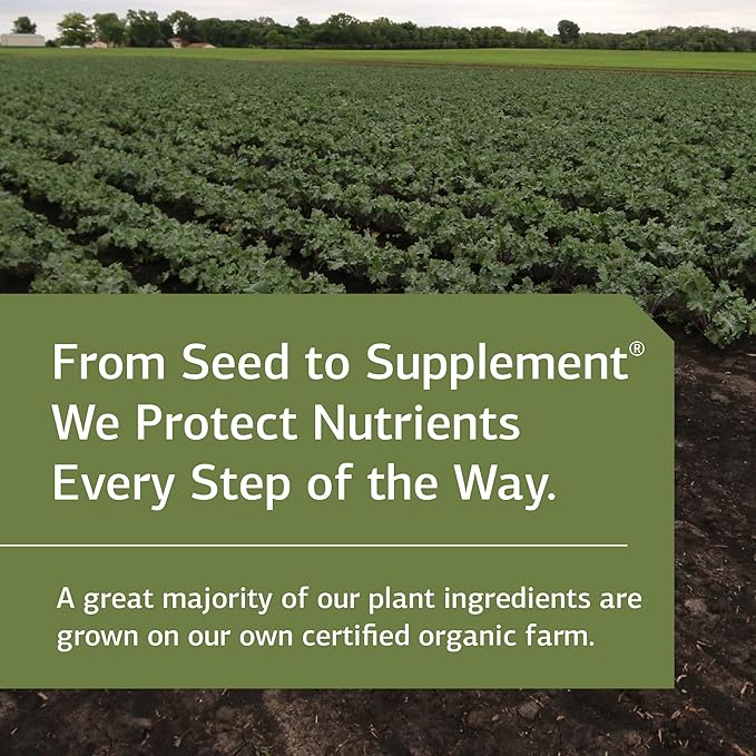 Standard Process GI Adsorb - Gastrointestinal Health & Elimination Dietary Supplement - Digestion System Support - Gluten-Free, Non-Dairy & Non-Soy - 112 Capsules (28 Servings)