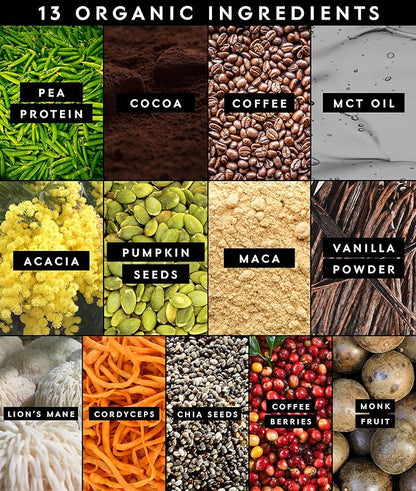 Truvani Protein + Energy Drink Mix with 87mg Caffeine | Chocolate Mocha | 12g Organic Plant Based Protein | 20 Servings | USDA Organic Coffee Powder & Adaptogens | Gluten & Dairy Free | Vegan