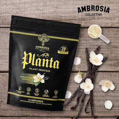 Ambrosia Planta - Premium Plant-Based Protein | Vegan & Keto Friendly | Gourmet Flavors with No Bloating or Stomach Upset | Gluten & Soy Free | No Added Sugar | 14 Servings | (Vanilla)