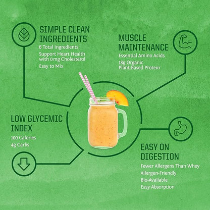 SUNWARRIOR Organic Brown Rice Protein Chocolate, 750 GR