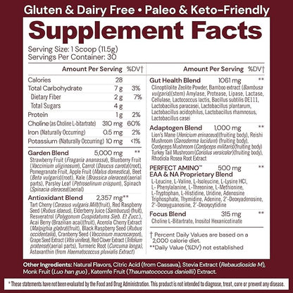 BodyHealth Reds Enhanced with PerfectAmino - Daily Superfood Smoothie Powder with Antioxidants, Adaptogens, Phytonutrients, Fruit, Prebiotics, Probiotics, Fiber, and Protein - 30 Servings