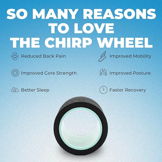 Chirp Wheel Foam Roller ??Targeted Back & Neck Relief, Lumbar Spine Stretcher, Spinal Decompression Back Stretcher, Massage Roller with Density Foam for Physical Therapy, Supports 500lbs, 4-Inch Mint