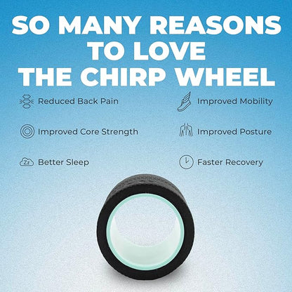 Chirp Wheel Foam Roller ??Targeted Back & Neck Relief, Lumbar Spine Stretcher, Spinal Decompression Back Stretcher, Massage Roller with Density Foam for Physical Therapy, Supports 500lbs, 4-Inch Mint