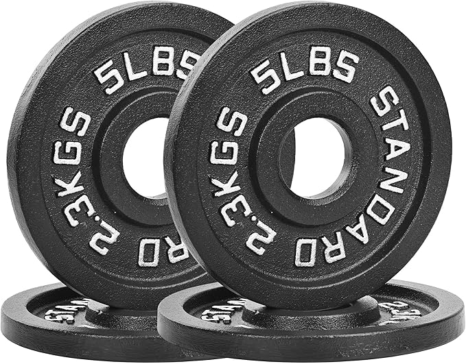 Professional-Grade Cast Iron Weight Plates | Dual-Hole Weight Plates with 2-Inch Bore | Ideal for Strength Training and Weightlifting | Multiple Weight Options Available