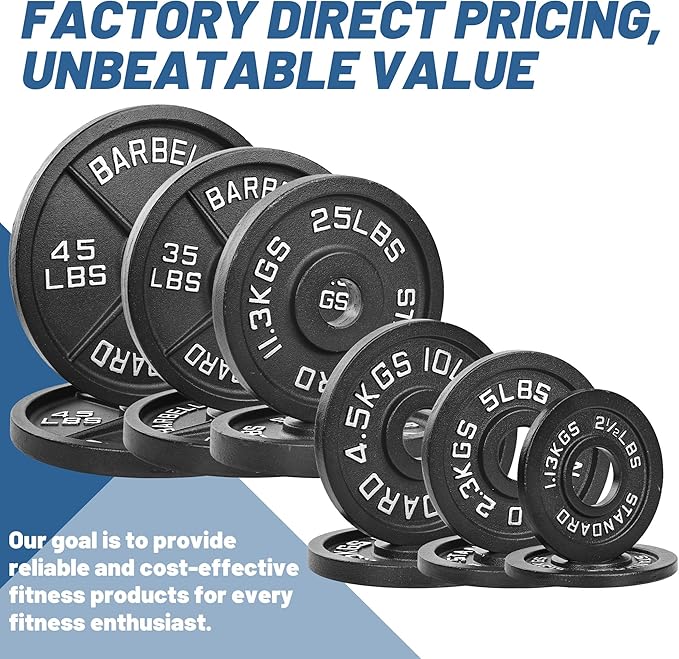 Professional-Grade Cast Iron Weight Plates | Dual-Hole Weight Plates with 2-Inch Bore | Ideal for Strength Training and Weightlifting | Multiple Weight Options Available