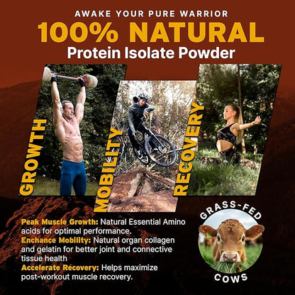 Paleo Pro 26G Beef Protein Powder - Grass Fed Protein Powder Isolate - Pure Animal Based Pastured & Cage-Free | Dairy & Gluten Free, Natural & Clean Proteins for Paleo & Keto - 15 Days Supply Vanilla