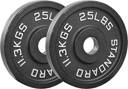 Professional-Grade Cast Iron Weight Plates | Dual-Hole Weight Plates with 2-Inch Bore | Ideal for Strength Training and Weightlifting | Multiple Weight Options Available