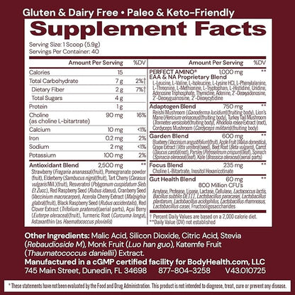 BodyHealth Reds Enhanced with PerfectAmino - Daily Superfood Smoothie Powder with Antioxidants, Adaptogens, Phytonutrients, Fruit, Prebiotics, Probiotics, Fiber, and Protein - 40 Servings