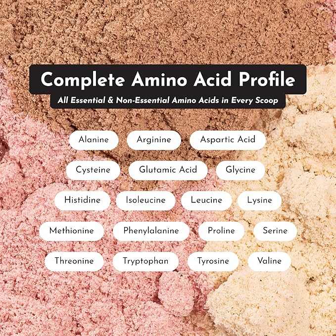 JUST INGREDIENTS Creamy Peanut Butter Chocolate Protein Powder ??30-ServingBlend with Grass-Fed Whey, Pea, Pumpkin Seed, Chia & Collagen ??No Sugar Added ??No Gums 24g Protein