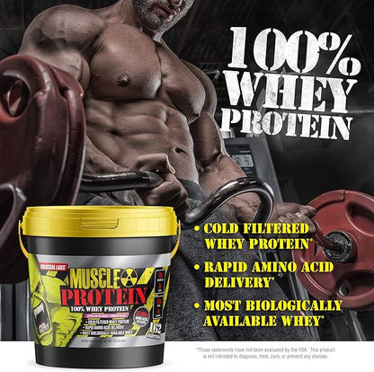 Muscle Whey Protein Flavored Protein Powder, 25,000mg Amino Acids/Serving, Cold Filtered(Packaging May Vary) (12 Pound (Bucket), Cookies & Cream)